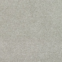 New Sentiment Carpet