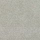 New Sentiment Carpet