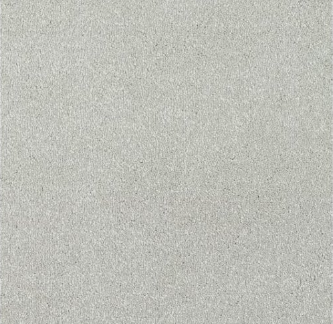 New Sentiment Carpet