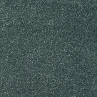 New Sentiment Carpet