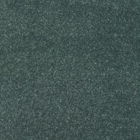 New Sentiment Carpet