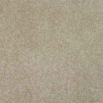 New Sentiment Carpet