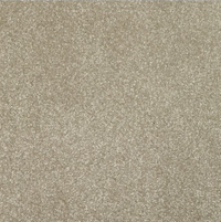 New Sentiment Carpet