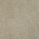 New Sentiment Carpet