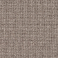 Spectrum Trends Carpet