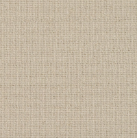 Spectrum Trends Carpet