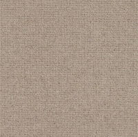 Spectrum Trends Carpet