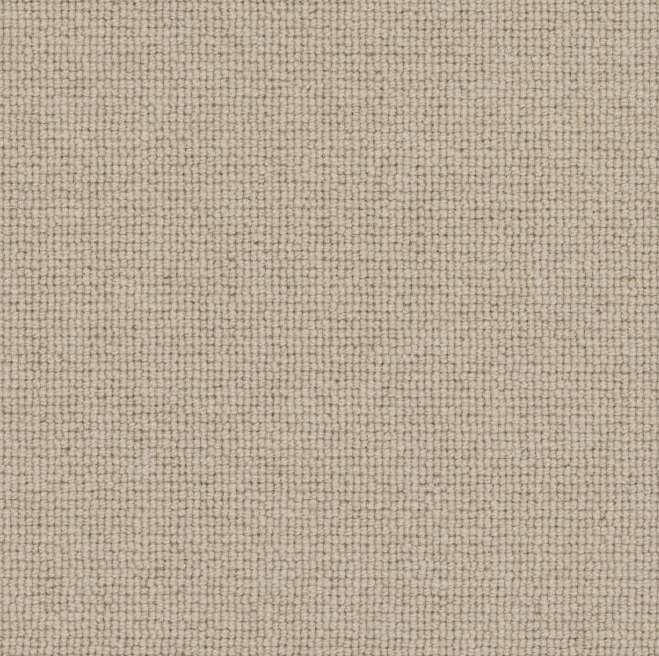 Spectrum Trends Carpet