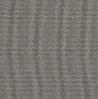 Spectrum Trends Carpet