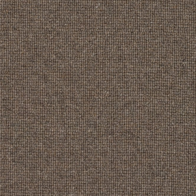 Spectrum Trends Carpet