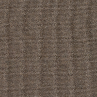 Spectrum Trends Carpet