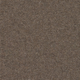 Spectrum Trends Carpet