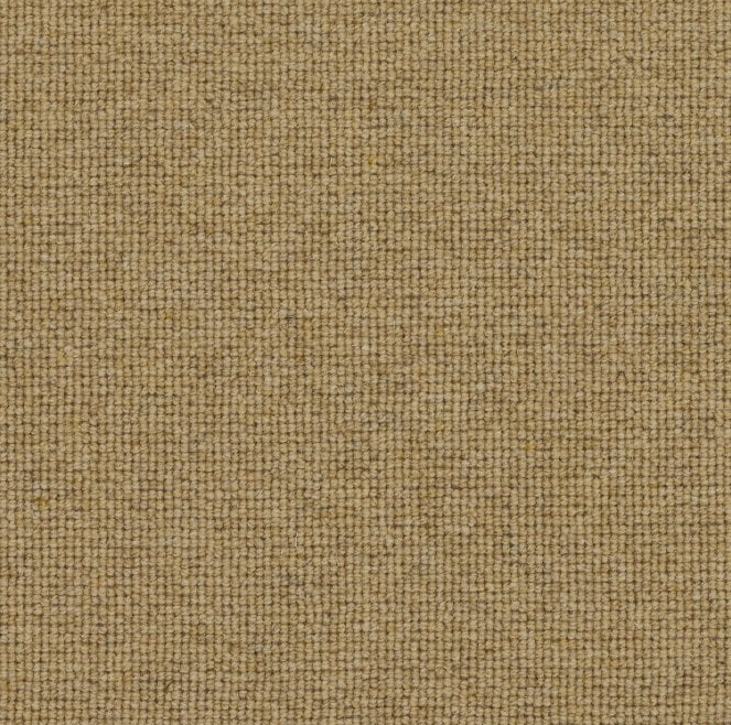 Spectrum Trends Carpet