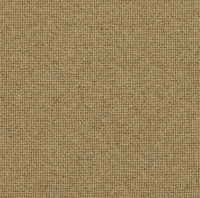 Spectrum Trends Carpet