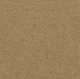 Spectrum Trends Carpet