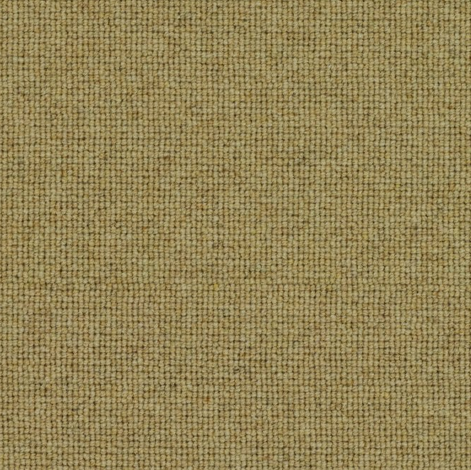 Spectrum Trends Carpet