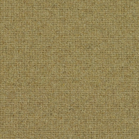 Spectrum Trends Carpet