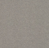 Spectrum Trends Carpet