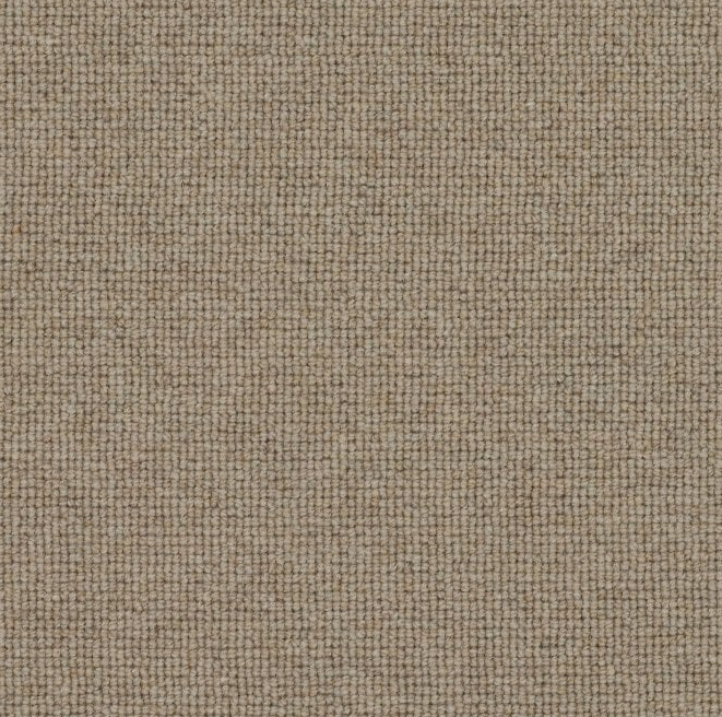 Spectrum Trends Carpet