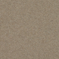 Spectrum Trends Carpet