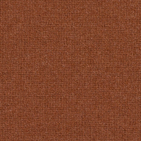 Spectrum Trends Carpet