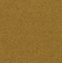 Spectrum Trends Carpet