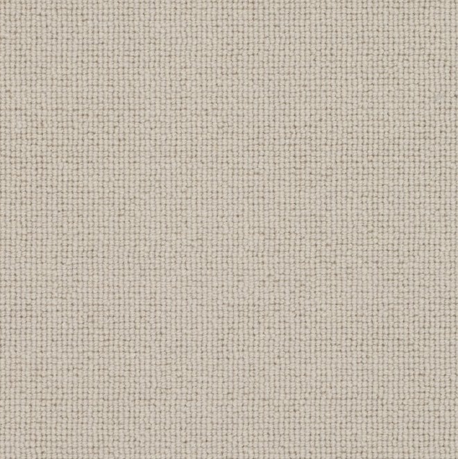 Spectrum Trends Carpet