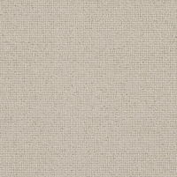 Spectrum Trends Carpet