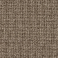 Spectrum Trends Carpet