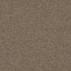 Spectrum Trends Carpet