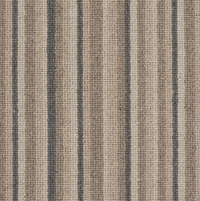 Spectrum Trends Carpet