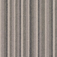 Spectrum Trends Carpet