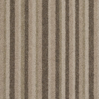 Spectrum Trends Carpet