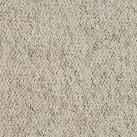 Millburn Carpet