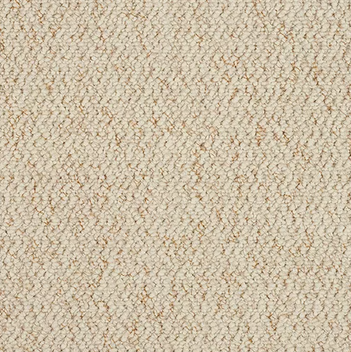 Millburn Carpet