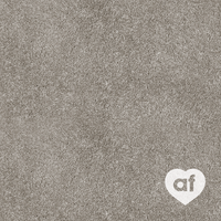 Alternative Flooring - Plush Velvet Carpet