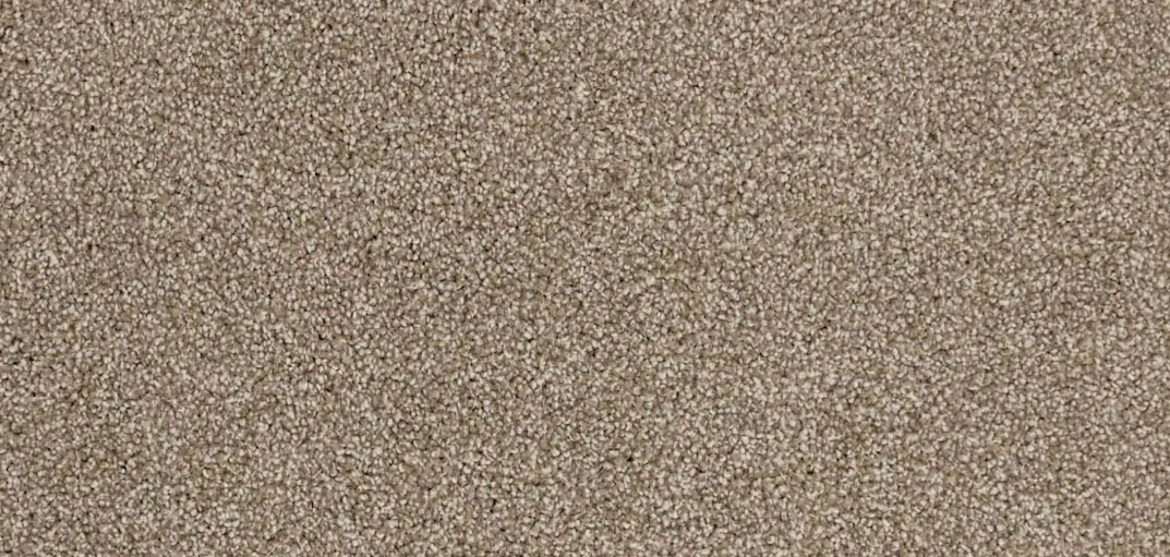 Satisfaction Ultra Carpet