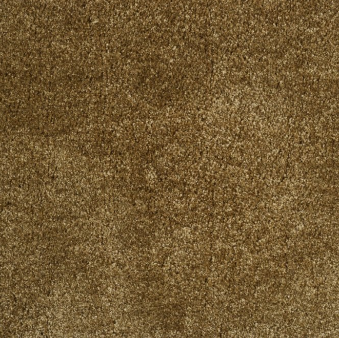 Monza Carpet - ITC