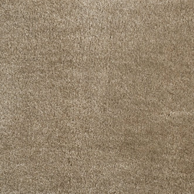 Monza Carpet - ITC