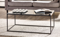 Chicago Living Collection - Smoked Glass