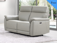 Carlton Electric Upholstery Collection - Light Grey