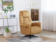 Caesar Electric Swivel Chair Collection