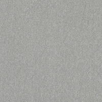 Seta Carpet