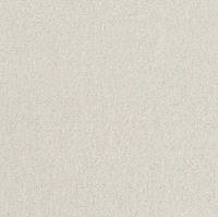 Seta Carpet