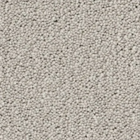 Eleganza Carpet