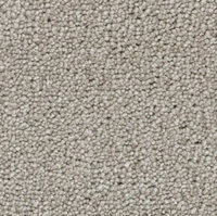 Eleganza Carpet