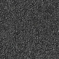 Eleganza Carpet
