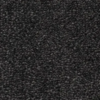 Eleganza Carpet