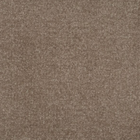 Persuasion Carpet