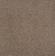 Persuasion Carpet